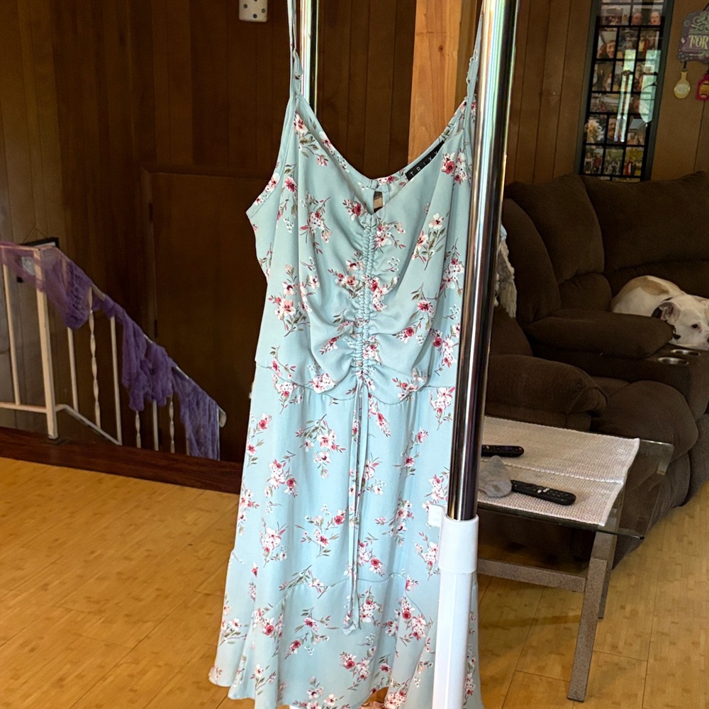 Trixxi Floral Mini Dress - Light Blue and Pink